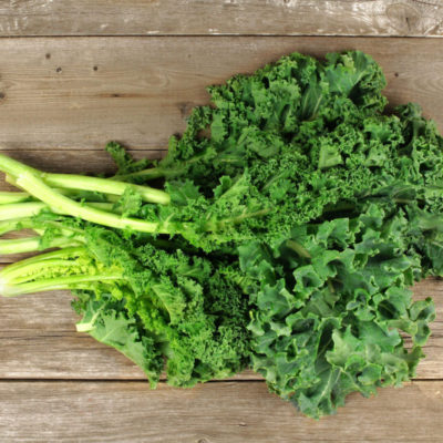 chou kale ma ferme en ville