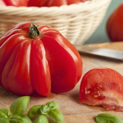 tomate coeur de boeuf ma ferme en ville