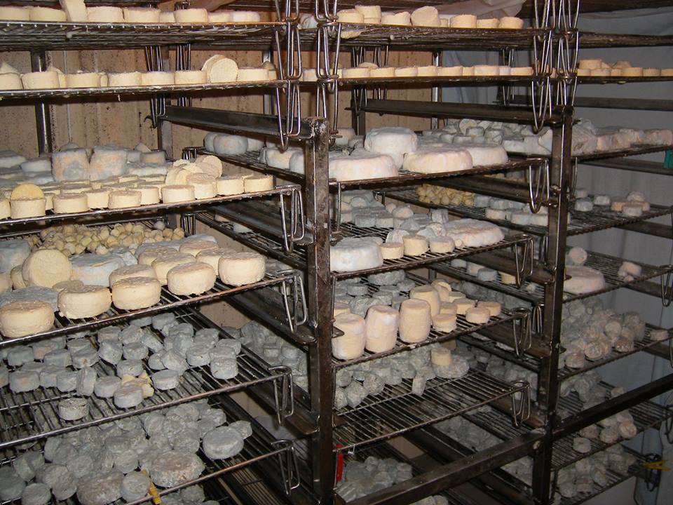 ferme piegay ma ferme en ville