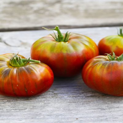tomate noire crimee ma ferme en ville